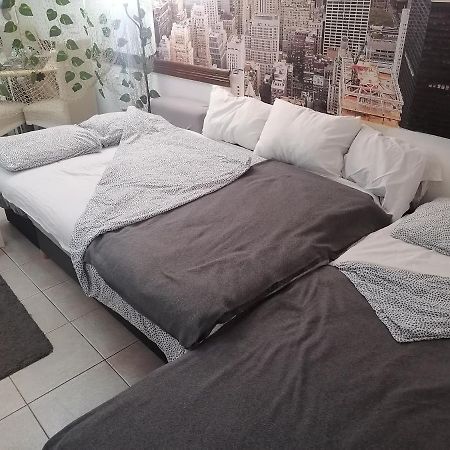בלגרד Low Cost Apartment מראה חיצוני תמונה