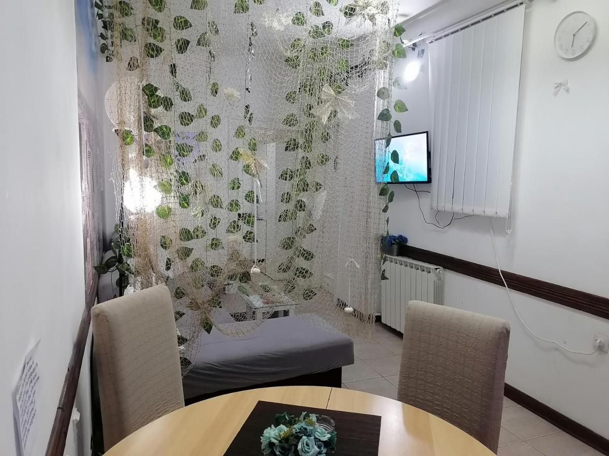 בלגרד Low Cost Apartment מראה חיצוני תמונה