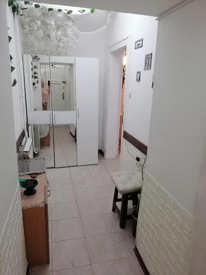 בלגרד Low Cost Apartment מראה חיצוני תמונה
