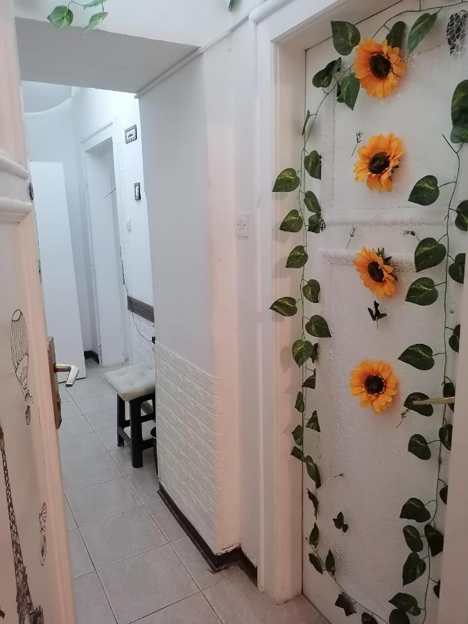 בלגרד Low Cost Apartment מראה חיצוני תמונה