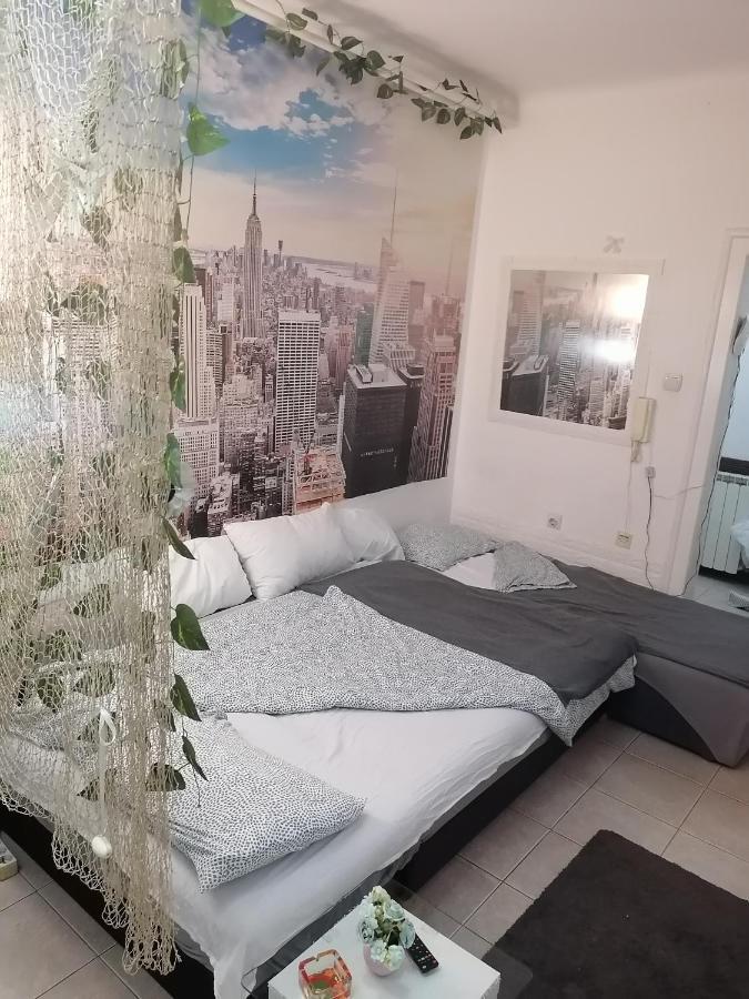 בלגרד Low Cost Apartment מראה חיצוני תמונה