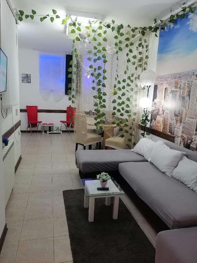 בלגרד Low Cost Apartment מראה חיצוני תמונה